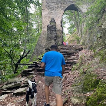 thumbnail petsitter Liberec nebo páníček pro psi kočky