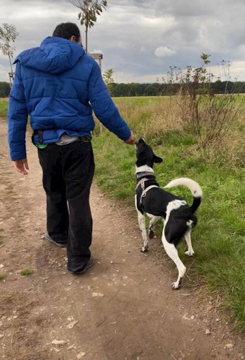Yosif- petsitter Liberec nebo Páníček pro psi kočky