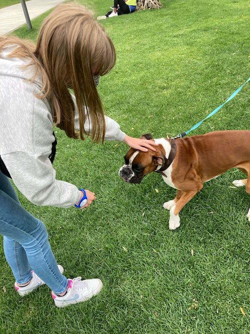 Veronika- petsitter Plzeň nebo Páníček pro psi