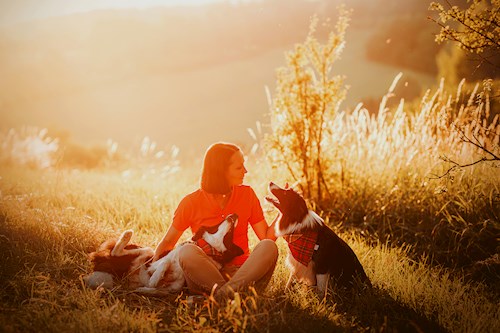 Martina- petsitter Kuroslepy nebo Páníček pro psi kočky