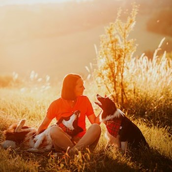 thumbnail petsitter Kuroslepy nebo páníček pro psi kočky