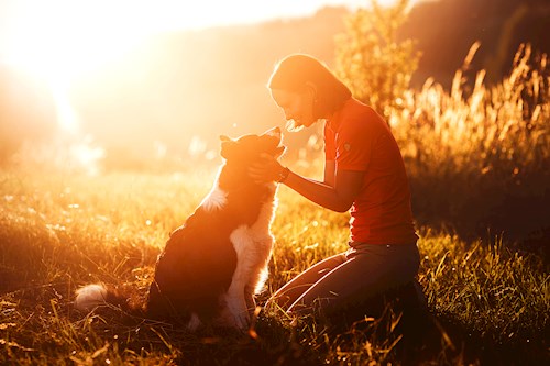 Martina- petsitter Kuroslepy nebo Páníček pro psi kočky