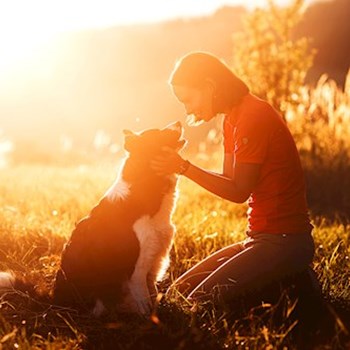 thumbnail petsitter Kuroslepy nebo páníček pro psi kočky