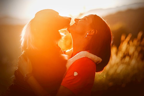 Martina- petsitter Kuroslepy nebo Páníček pro psi kočky