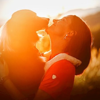 thumbnail petsitter Kuroslepy nebo páníček pro psi kočky