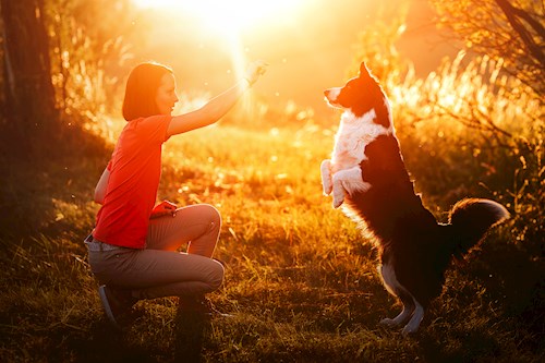 Martina- petsitter Kuroslepy nebo Páníček pro psi kočky