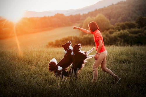 Martina- petsitter Kuroslepy nebo Páníček pro psi kočky