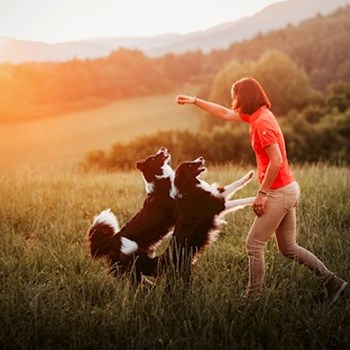 thumbnail petsitter Kuroslepy nebo páníček pro psi kočky