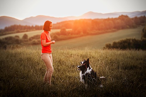 Martina- petsitter Kuroslepy nebo Páníček pro psi kočky