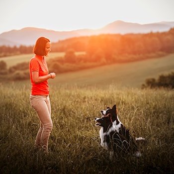 thumbnail petsitter Kuroslepy nebo páníček pro psi kočky