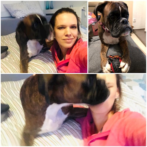 Andrea- petsitter Praha nebo Páníček pro psi