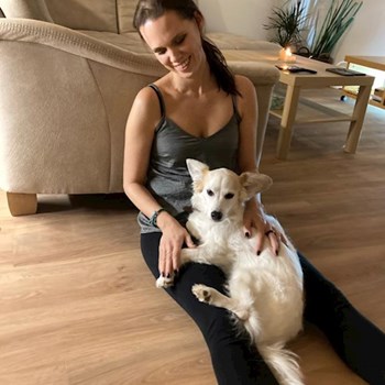 thumbnail petsitter Praha nebo páníček pro psi