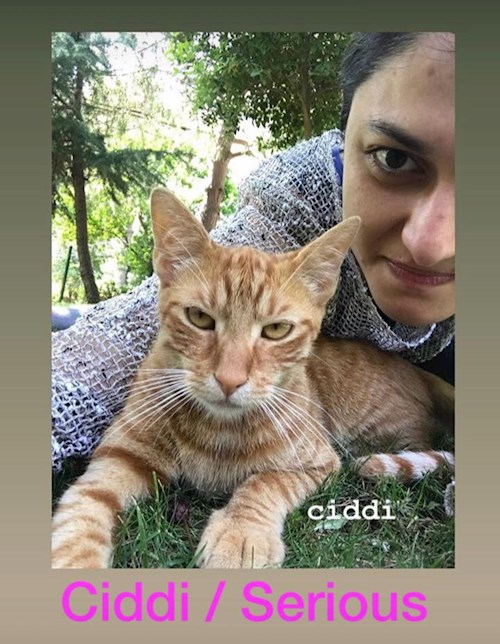 Merve- petsitter Prague nebo Páníček pro psi kočky