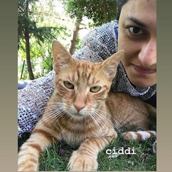 thumbnail petsitter Prague nebo páníček pro psi kočky