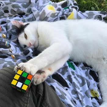 thumbnail petsitter Prague nebo páníček pro psi kočky