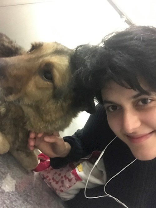 Merve- petsitter Prague nebo Páníček pro psi kočky