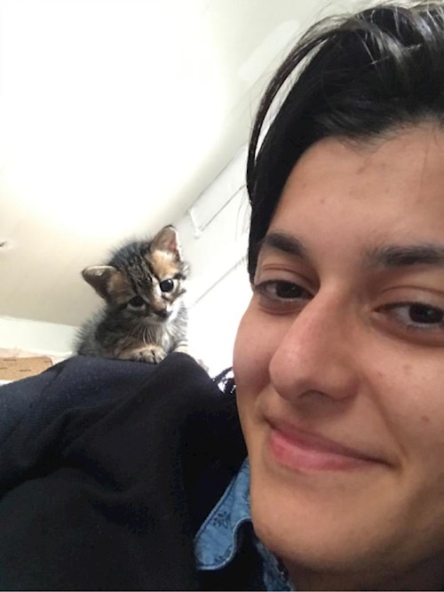 Merve- petsitter Prague nebo Páníček pro psi kočky