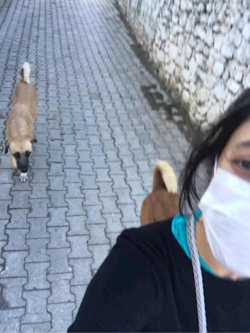 Merve- petsitter Prague nebo Páníček pro psi kočky