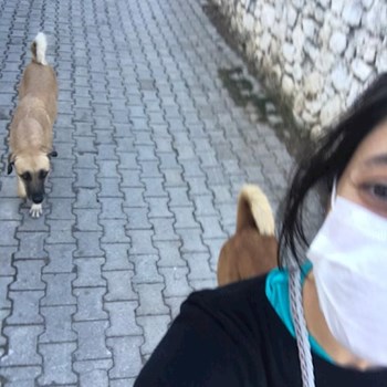 thumbnail petsitter Prague nebo páníček pro psi kočky