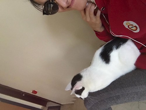 Merve- petsitter Prague nebo Páníček pro psi kočky