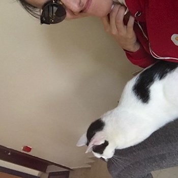 thumbnail petsitter Prague nebo páníček pro psi kočky