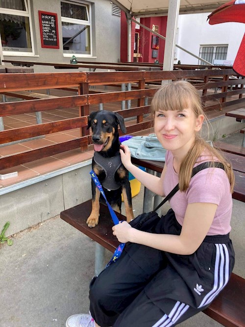 Veronika- petsitter Plzeň nebo Páníček pro psi