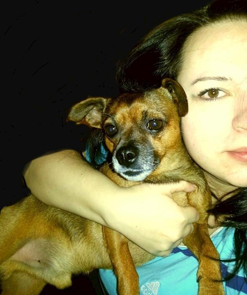 Eliška- petsitter Plzeň nebo Páníček pro psi kočky