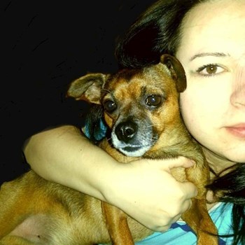 thumbnail petsitter Plzeň nebo páníček pro psi kočky