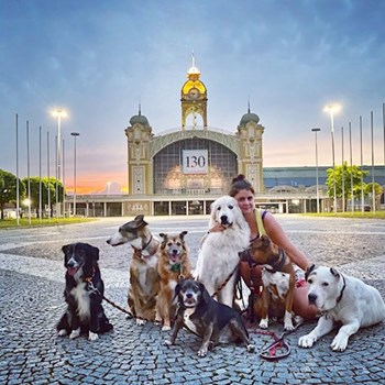 thumbnail petsitter Prague nebo páníček pro psi