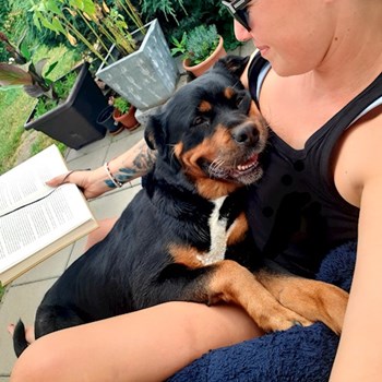  thumbnail petsitter Hradec Králové or pet nanny for dogs cats 