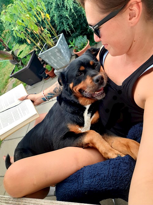 Martina- petsitter Hradec Králové nebo Páníček pro psi kočky