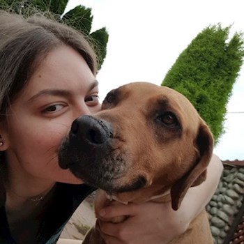 thumbnail petsitter Praha nebo páníček pro psi kočky