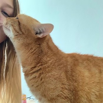 thumbnail petsitter Praha nebo páníček pro psi kočky