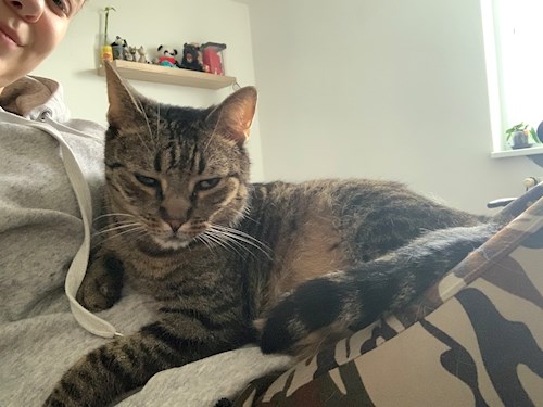 Kristýna- petsitter Praha nebo Páníček pro psi kočky