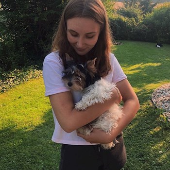 thumbnail petsitter Prague nebo páníček pro psi kočky