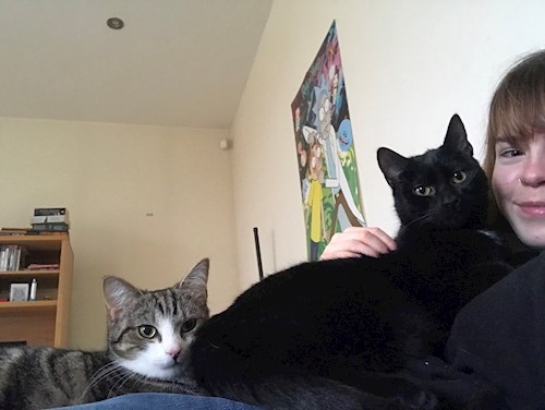 Ellena- petsitter Praha nebo Páníček pro psi kočky