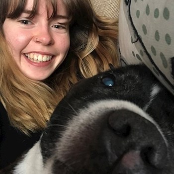 thumbnail petsitter Praha nebo páníček pro psi kočky