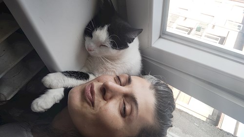 Yonca- petsitter Prague or Pet nanny for cats 