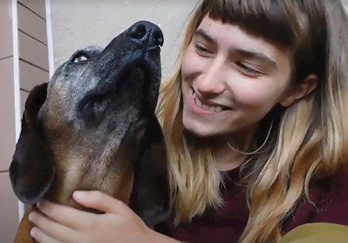 Pavlína- petsitter Olomouc nebo Páníček pro psi kočky