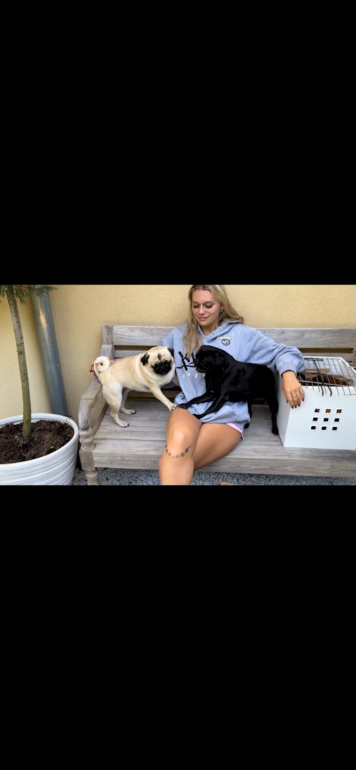 Alžběta- petsitter Dolní Břežany nebo Páníček pro psi kočky