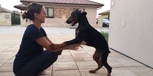 Laura- petsitter Brno nebo Páníček pro psi