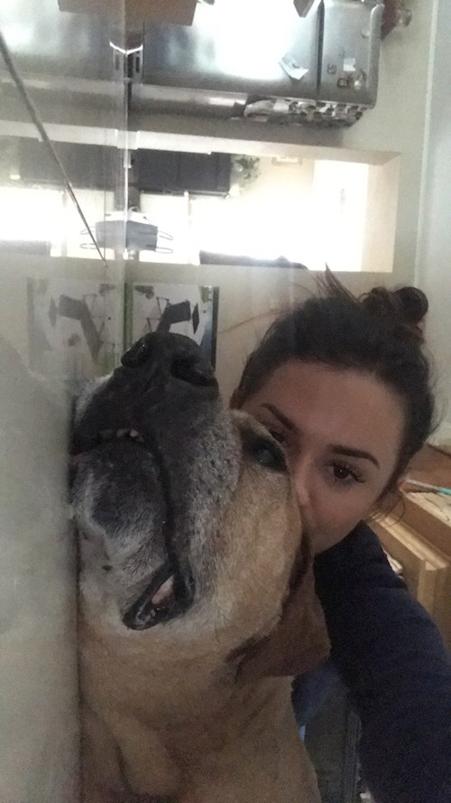 Laura- petsitter Brno nebo Páníček pro psi