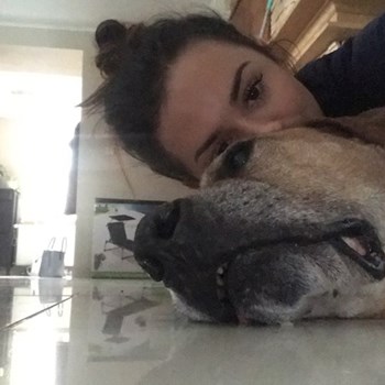 thumbnail petsitter Brno nebo páníček pro psi