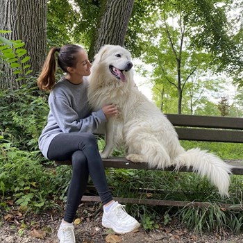 thumbnail petsitter Brno nebo páníček pro psi