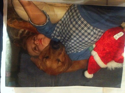 Laura- petsitter Brno nebo Páníček pro psi