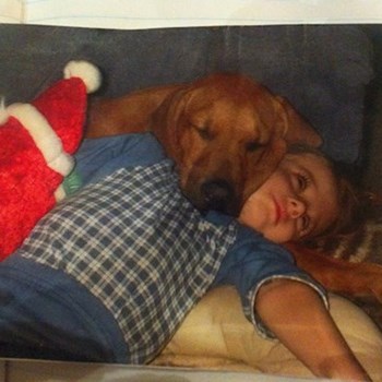 thumbnail petsitter Brno nebo páníček pro psi