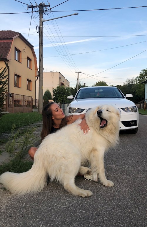 Laura- petsitter Brno or Pet nanny for dogs 