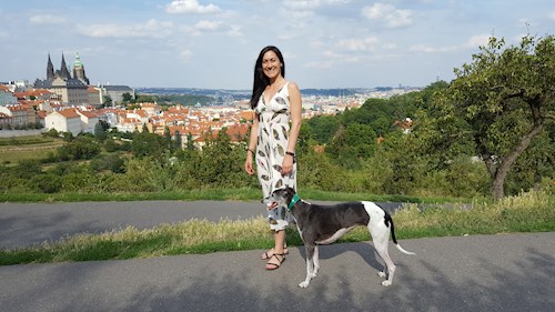 Réka- petsitter Praha or Pet nanny for dogs cats 