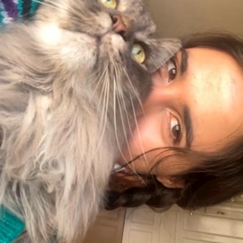  thumbnail petsitter Praha or pet nanny for dogs cats 