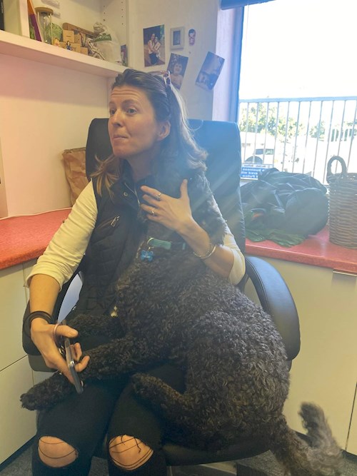 Kateřina- petsitter Praha 9 nebo Páníček pro psi kočky